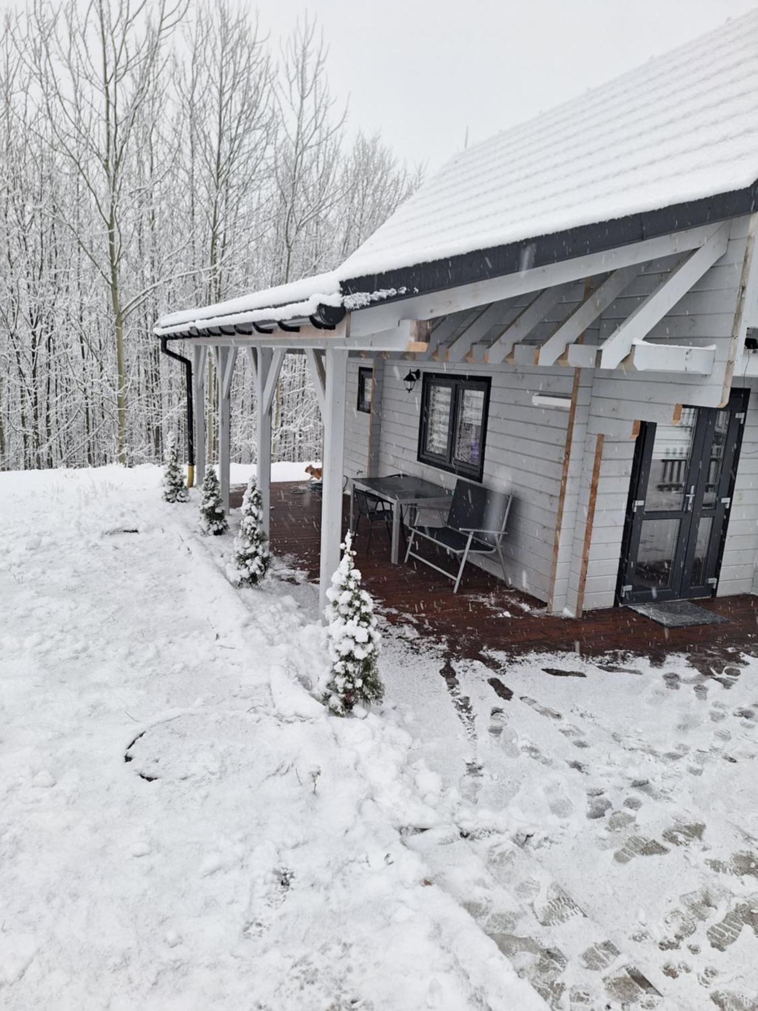 Eden Apartment Sosnowka (Jelenia Gora)